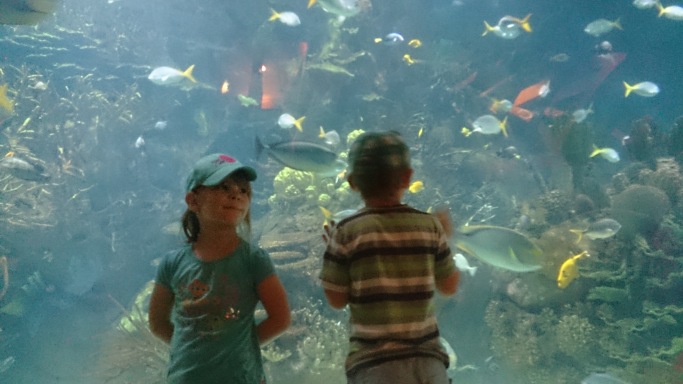 Meeres-Aquarium, Valencia
